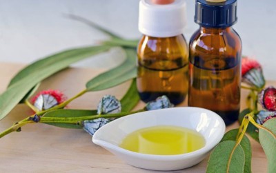 uploads/news/2020/05/keampuhan-eucalyptus-sebagai-anti-virus-49301e1494fe7a4_400.jpg