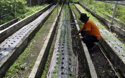 uploads/news/2020/05/meningkatnya-permintaan-hasil-pertanian-29252d8a0ca6601_400.JPG