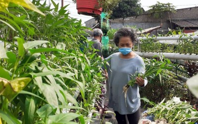 uploads/news/2020/05/panen-aquaponik-di-tengah-764913c10ae9d33_400.jpg