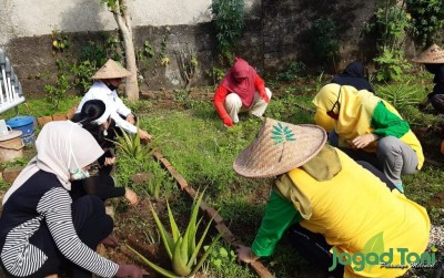 uploads/news/2020/06/geliat-urban-farming-kota-477826698366ef7_400.jpg