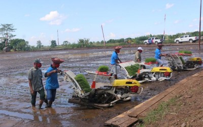 uploads/news/2020/06/kalteng-kembangkan-program-food-23103a8169fc564_400.jpeg