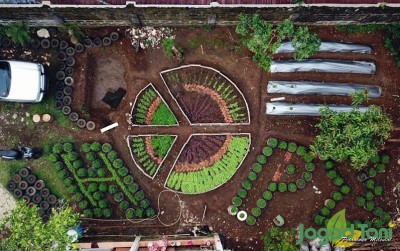 uploads/news/2020/06/ketahanan-pangan-ala-milenial-bogor-53073d818b13b08_400.jpg
