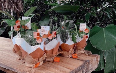 uploads/news/2020/06/membuat-hampers-tanaman-sendiri-9667545d7b1f24b_400.jpg