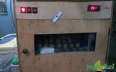 uploads/news/2020/06/membuat-mesin-penetas-telur-42845417f2ee847_400.jpeg