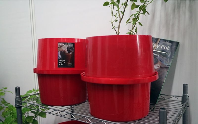 uploads/news/2020/06/membuat-self-watering-pot-31965055e77b143.JPG