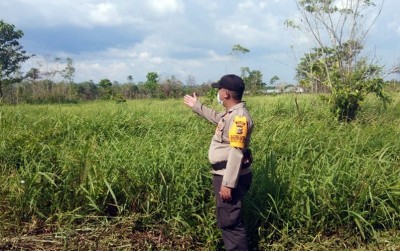 uploads/news/2020/07/asa-lumbung-pangan-nimbokrang-233778913b2af5d_400.jpg
