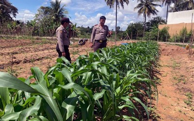 uploads/news/2020/07/bercocok-tanam-ala-polisi-6332737eff54817_400.jpg