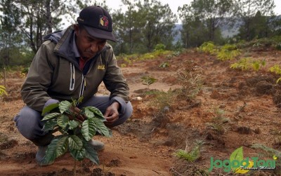 uploads/news/2020/07/bertani-kopi-di-lahan-996520b5c66c2c3_400.JPG