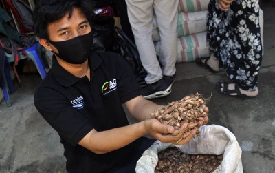 uploads/news/2020/07/demi-mengembalikan-produktivitas-petani-11810665c0dae7b_400.JPG