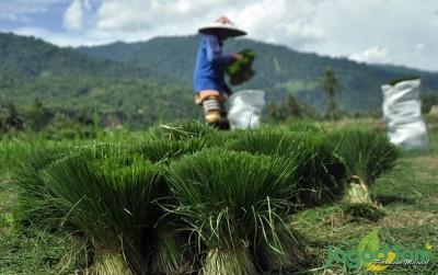 uploads/news/2020/07/jeritan-hati-petani-sigi-780192b2754e75a_400.JPG