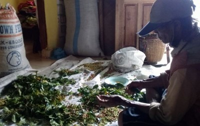 uploads/news/2020/07/senyum-petani-cengkeh-di-62046ad23be193d_400.jpg