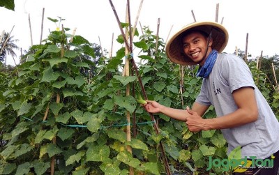uploads/news/2020/07/senyum-sumringah-petani-mentimun-88198e506d9c497_400.jpg