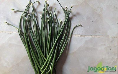 uploads/news/2020/08/arti-belelo-bagi-petani-282916980326f24_400.jpg