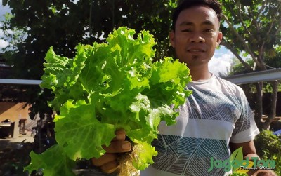 uploads/news/2020/08/belajar-membuat-hidroponik-sederhana-2214577a011178e_400.jpg