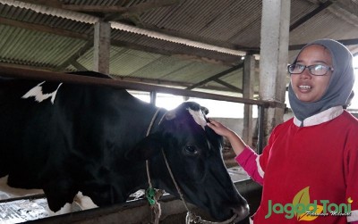 uploads/news/2020/08/berkunjung-ke-kampung-sapi-7613008f8c3c42b_400.JPG