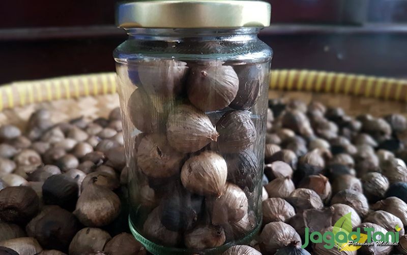 uploads/news/2020/08/black-garlic-yang-kaya-4414182ebbb221b.jpg