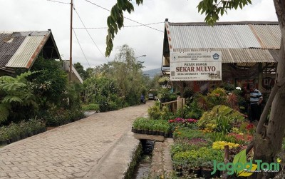 uploads/news/2020/08/desa-tanaman-hias-di-284975c0fa807d1_400.JPG