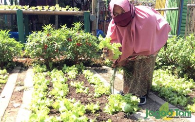 uploads/news/2020/08/ketika-lahan-sampah-menjadi-4438478f67470e6_400.jpg