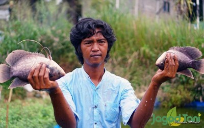 uploads/news/2020/08/ladang-emas-di-kolam-11353bdc850f4fb_400.jpg