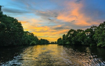 uploads/news/2020/08/memantau-kondisi-mangrove-lewat-714038ccb76436d_400.jpg