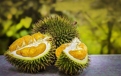uploads/news/2020/08/menanti-sertifikasi-durian-andalan-52525869ef44a66_400.jpg