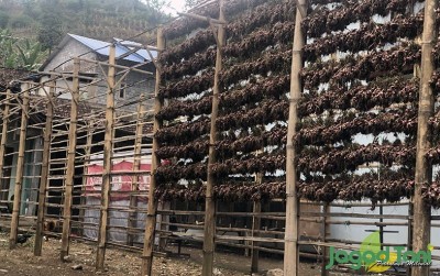 uploads/news/2020/08/mengenal-sigiran-jemuran-bawang-8070393a8f3d6c7_400.jpg