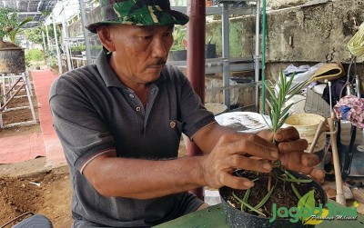 uploads/news/2020/08/mengenal-teknik-grafting-lohansung-44019794a4653ec_400.jpg