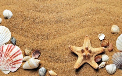 uploads/news/2020/08/mengintip-peluang-bisnis-limbah-888721a12619799_400.jpg