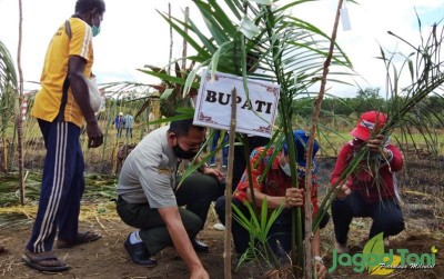 uploads/news/2020/08/perdana-menanam-sagu-di-63922aeab4907f8_400.JPG