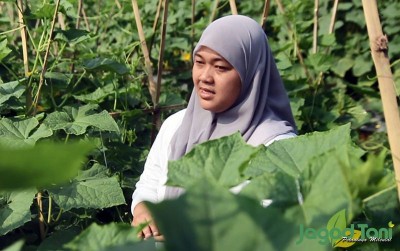 uploads/news/2020/08/petani-millenial-sukses-panen-889004525410f87_400.jpg