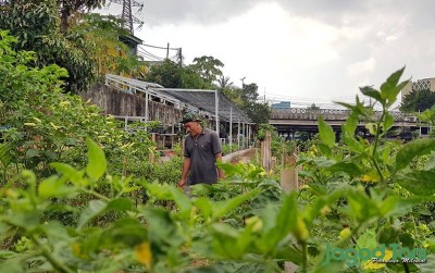 uploads/news/2020/08/semangat-petani-cabai-pinggir-18131ac8f553709_400.jpg
