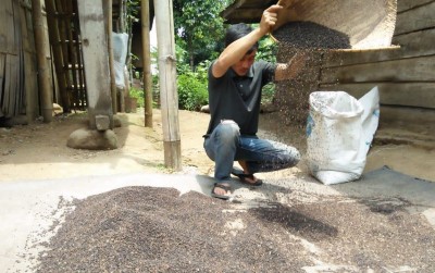 uploads/news/2020/09/budidaya-lada-yang-masih-68316793dad3609_400.jpg