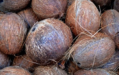 uploads/news/2020/09/gratieks-sasar-kampung-kelapa--344785f8b9fbe9e_400.jpg