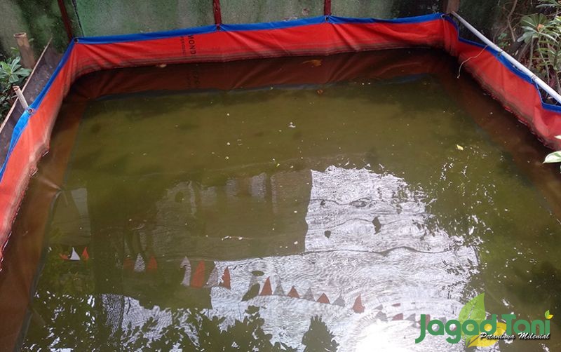 uploads/news/2020/09/manfaat-lain-air-kolam-69009dd28558894.jpg