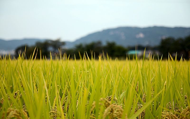 uploads/news/2020/09/mimpi-besar-lewat-food-824988368f8cd94.jpg