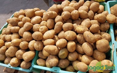 uploads/news/2020/09/terjun-bebas-jumlah-konsumen-2378208c4ac25c4_400.jpg