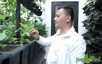 uploads/news/2020/10/berkebun-di-langit-jakarta-23460113ecddc71_400.png