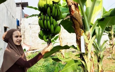 uploads/news/2020/10/demi-menghidupkan-kembali-kampung-21858511f260753_400.jpg