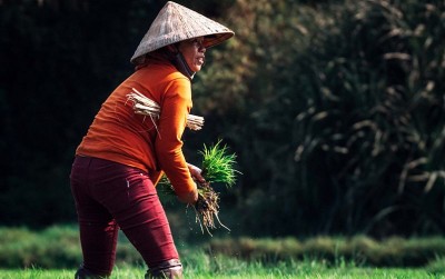 uploads/news/2020/10/di-balik-hari-pangan-762986e392dd218_400.jpg