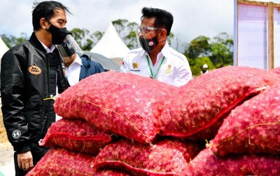 uploads/news/2020/10/jokowi-genjot-pengerjaan-food-442379e44447e3e_400.jpeg