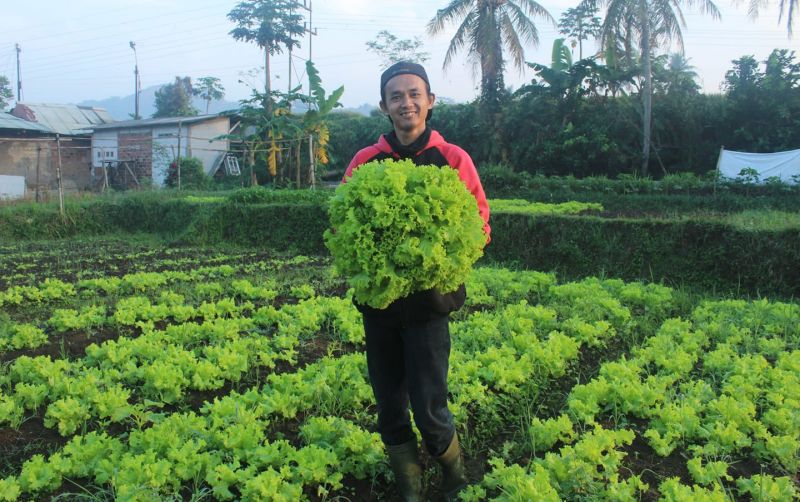 uploads/news/2020/10/kisah-lulusan-ugm-menjadi-3472779bf0d5ace.jpg