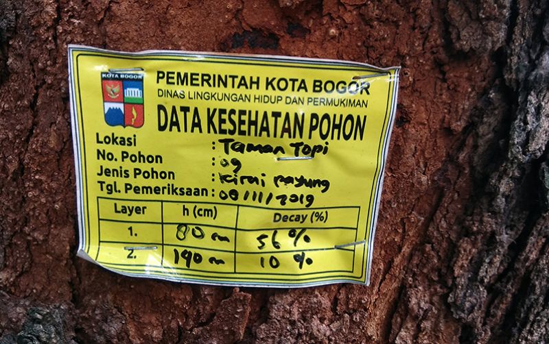 uploads/news/2020/10/ktp-pohon-di-kota-74024322e922c2a.jpg