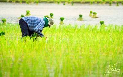 uploads/news/2020/10/lampung-berdayakan-petani-lewat-4470408894e48ec_400.jpg