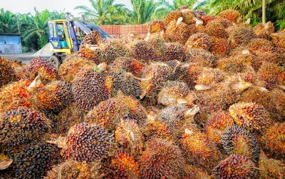 uploads/news/2020/10/luka-di-balik-bisnis-24818776a29caed_400.jpg