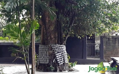 uploads/news/2020/10/melestarikan-alam-dengan-cara-2912822cae95c28_400.jpg