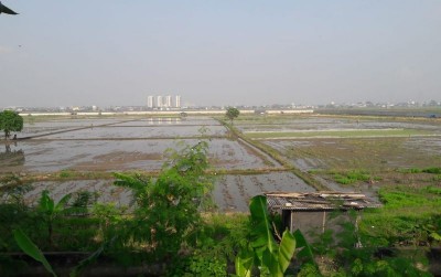 uploads/news/2020/10/nasib-persawahan-di-ujung-25764af9be6fcf0_400.jpg