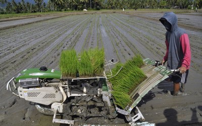 uploads/news/2020/10/parimo-bersiap-menyangga-ibu-745480fa1104a21_400.JPG