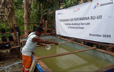 uploads/news/2020/11/budidaya-lele-di-kampung-52517bc32b51afd_400.jpg