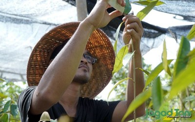 uploads/news/2020/11/cara-efektif-durian-cepat-963969acf928a60_400.JPG