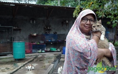 uploads/news/2020/11/dita-sang-penolong-kucing-60213040e248d8d_400.JPG
